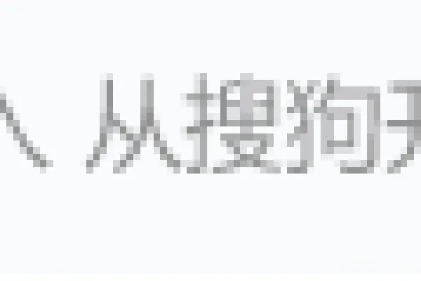 材质纹理 享受输入，从搜狗开始