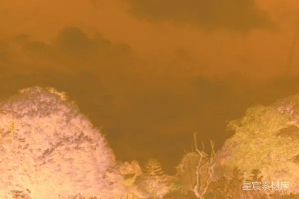 高清摄影 昏暗森林中的神秘洞穴