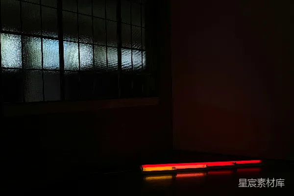 高清摄影 昏暗中的霓虹灯