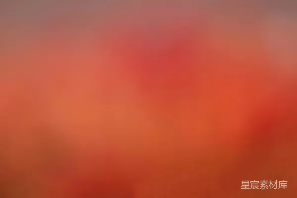 高清摄影 晚霞中的宁静天空