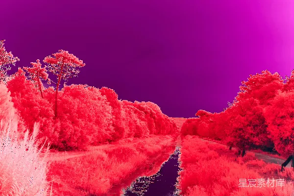 高清摄影 红外摄影的梦幻湖畔