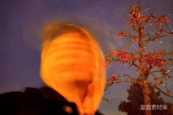 高清摄影 夜色中的橙色火焰