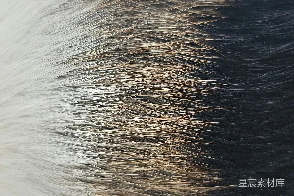 高清摄影 抽象的自然纹理