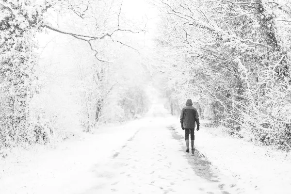 高清摄影 冬日雪景中的孤独行人