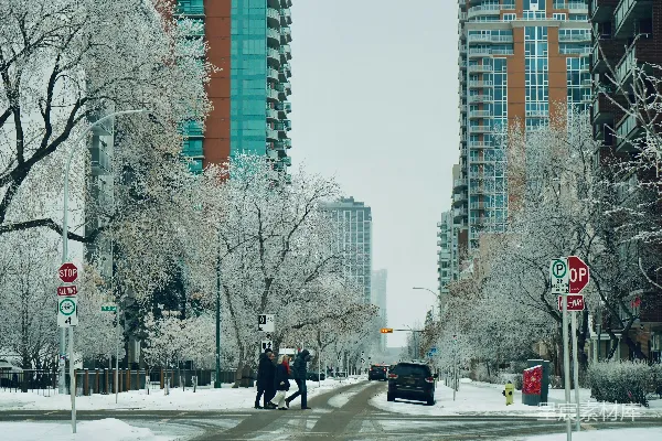 高清摄影 冬日城市街头雪景