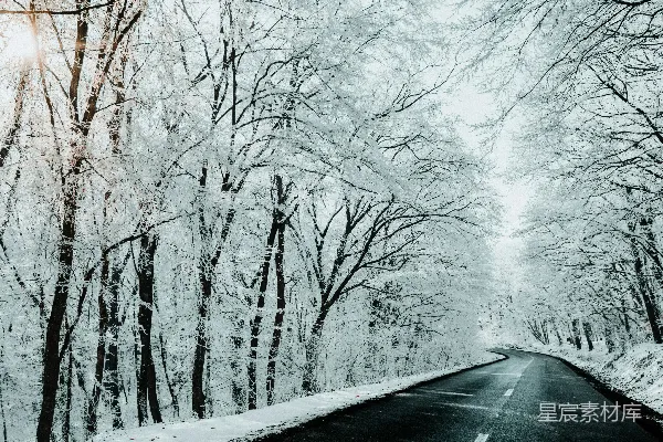 高清摄影 冬日雪林中的蜿蜒道路