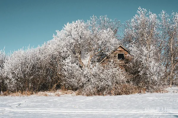 高清摄影 冬日雪景中的废弃小屋