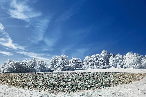 高清摄影 冬日田野雪景