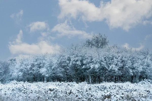 高清摄影 冬日雪景