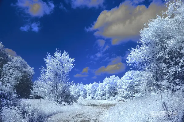 高清摄影 冬日雪景