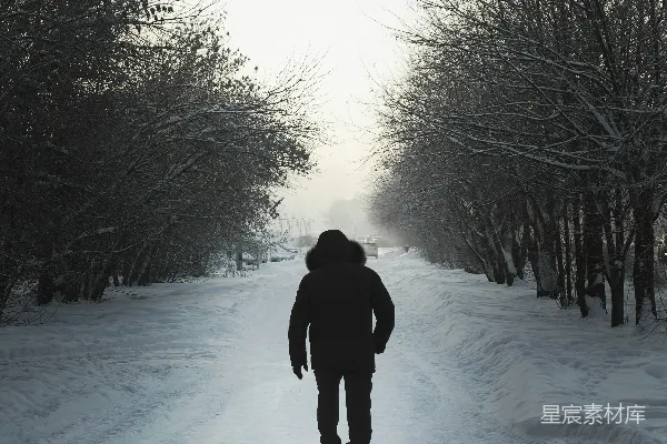 高清摄影 冬日雪地漫步