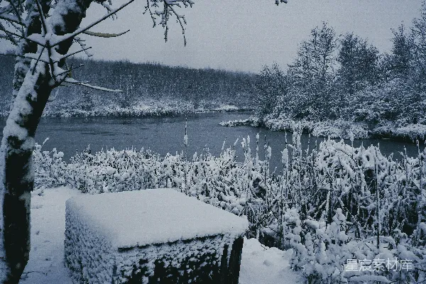 高清摄影 冬日雪景中的宁静湖边