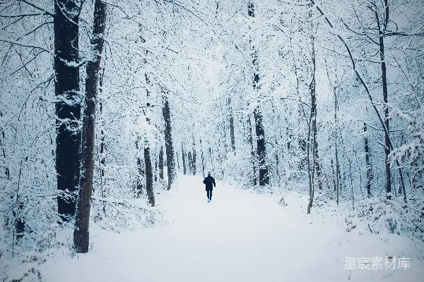 高清摄影 雪林中的孤独行者