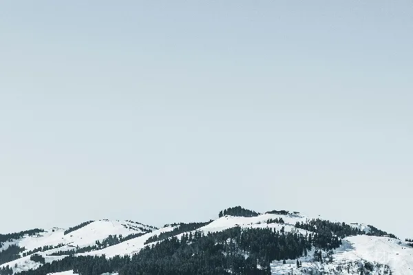 高清摄影 雪域森林的宁静之美