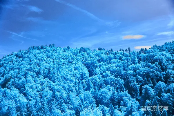 高清摄影 冬日蓝调：雪山森林的静谧时光