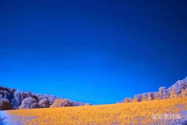 高清摄影 雪景中的宁静田野