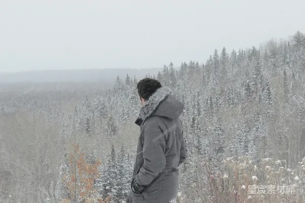 高清摄影 冬日森林中的背影