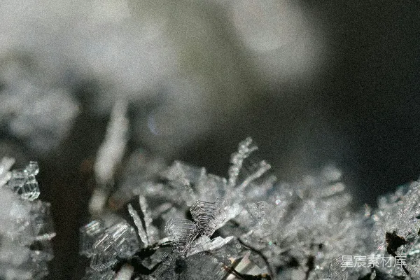 高清摄影 雪晶的微观世界