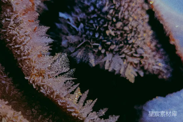 高清摄影 冰晶的心形特写