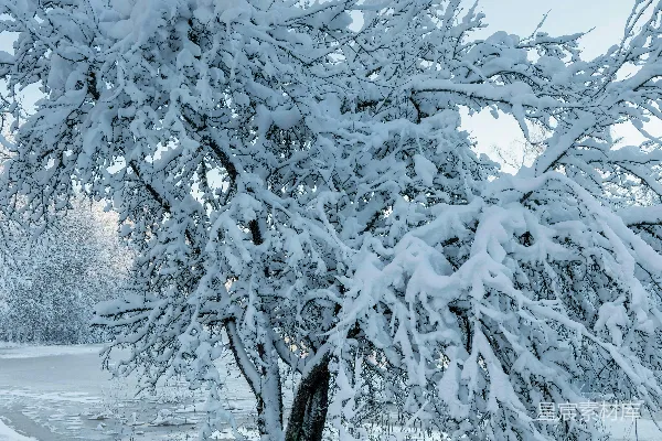 高清摄影 冬日雪景下的静谧河流