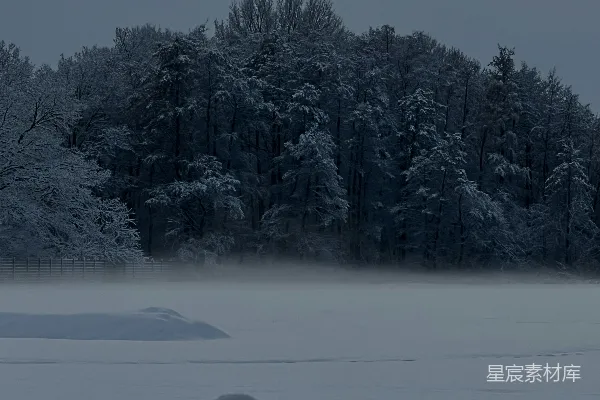 高清摄影 冬日晨雾中的雪景