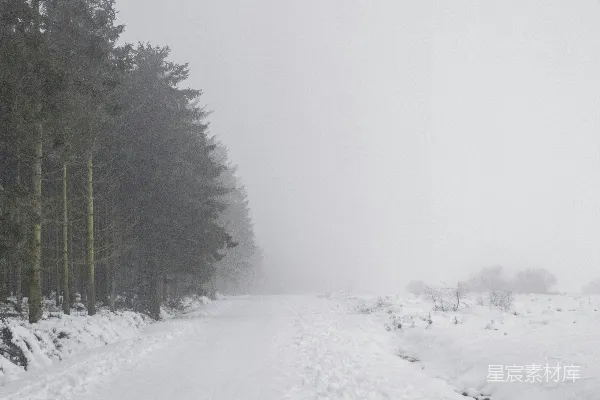 高清摄影 冬日雪路