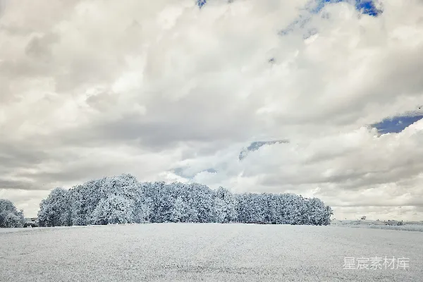高清摄影 冬日雪景中的森林与天空