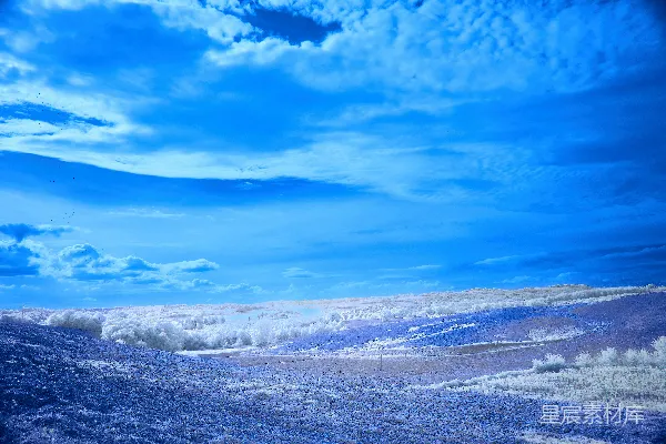高清摄影 蓝色调的冬季风景