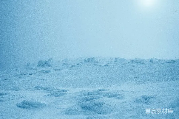 高清摄影 雪地迷雾
