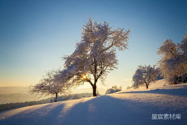 高清摄影 冬日清晨的雪景