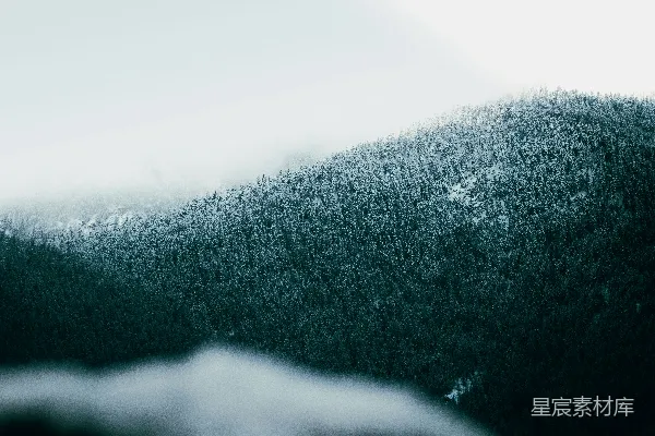 高清摄影 雾中森林