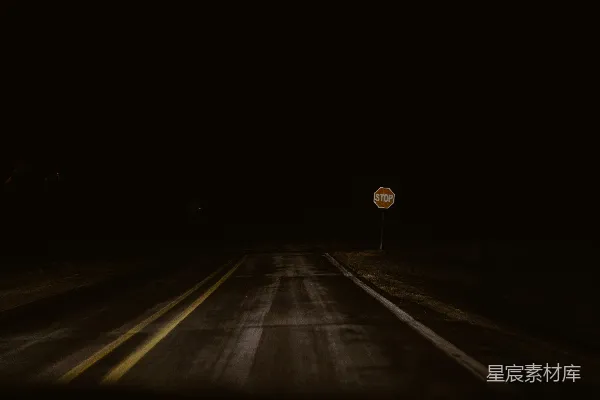 高清摄影 夜色中的停靠标志