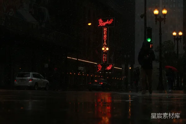 高清摄影 雨夜霓虹下的城市街景