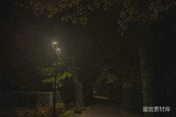 高清摄影 夜色中的小径