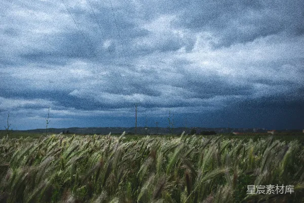 高清摄影 风雨欲来前的田野