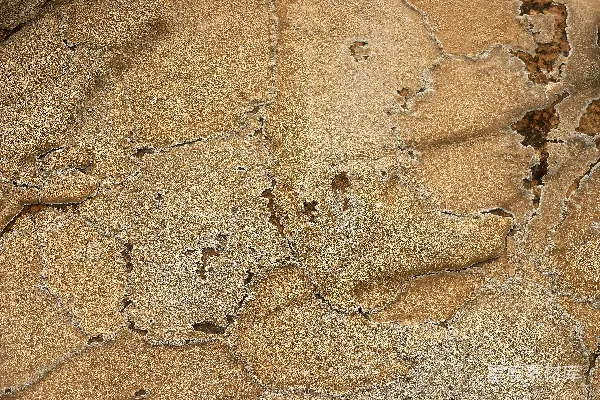 高清摄影 干裂的大地纹理