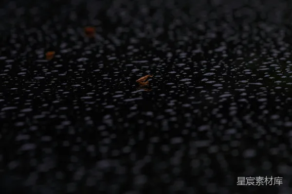 高清摄影 雨后静谧的水面