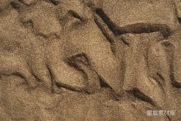 高清摄影 沙丘的自然纹理