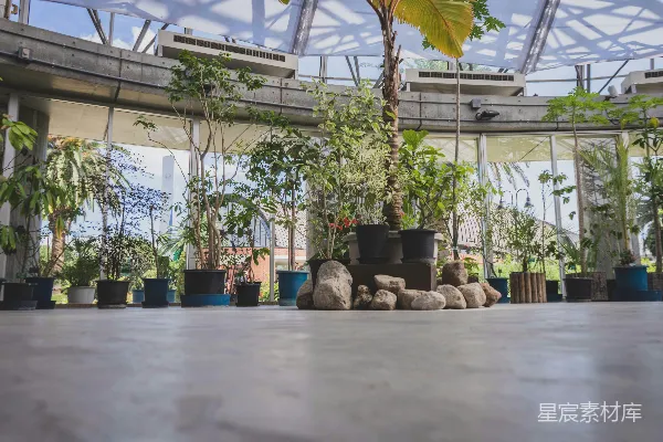 高清摄影 温室植物园