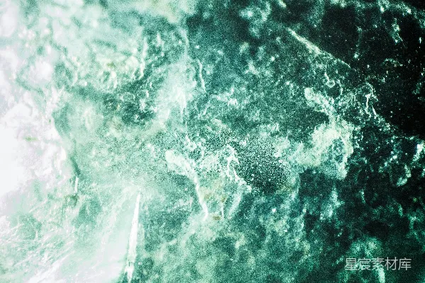 高清摄影 深海珊瑚礁