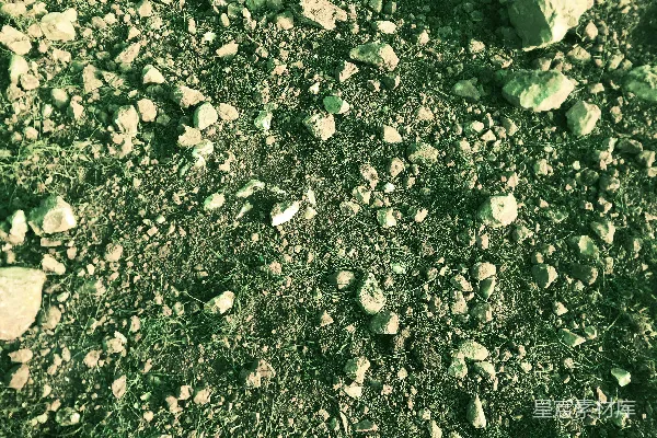高清摄影 绿意盎然的石子路