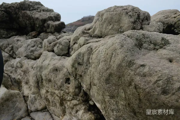 高清摄影 海岸岩石纹理