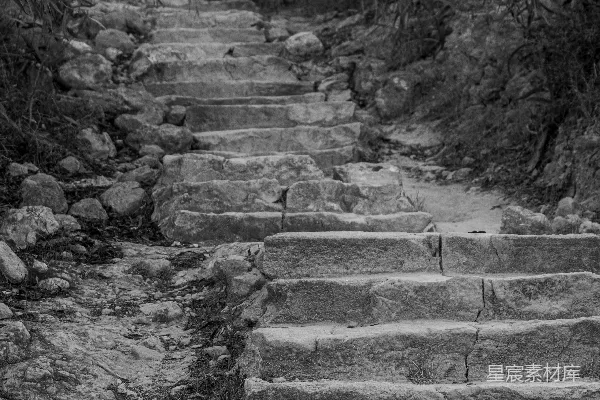 高清摄影 石阶与自然