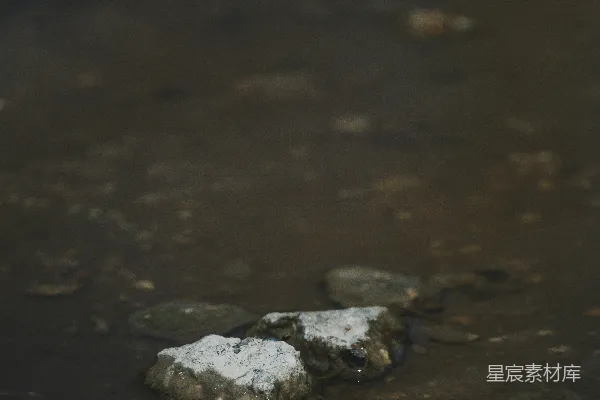 高清摄影 水中的石头