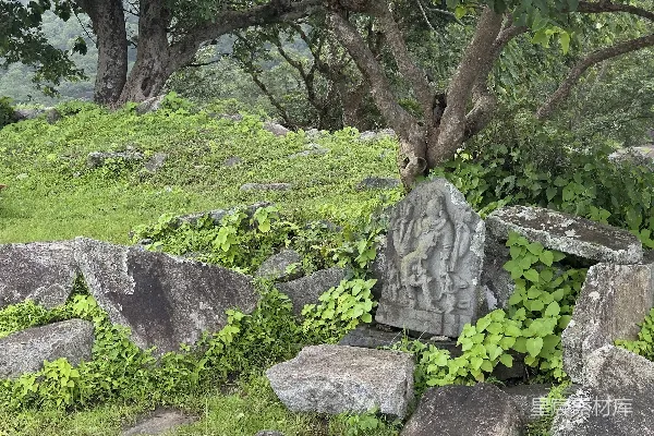 高清摄影 古迹遗址中的石雕