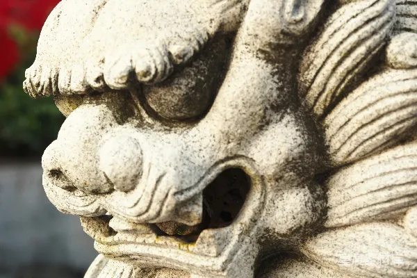 高清摄影 石雕狮子特写