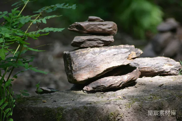 高清摄影 自然平衡：森林中的石头堆