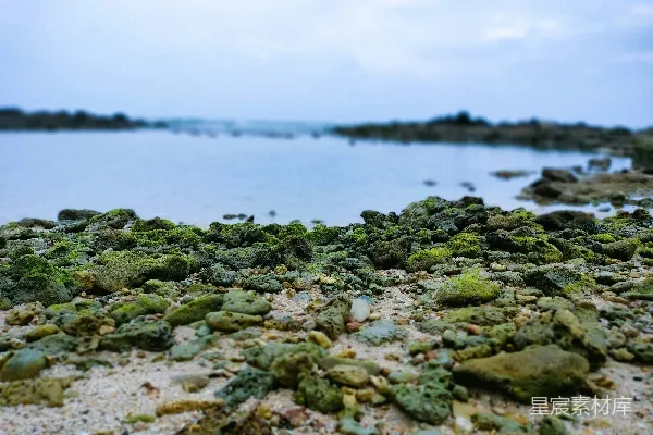 高清摄影 海边的岩石与沙地