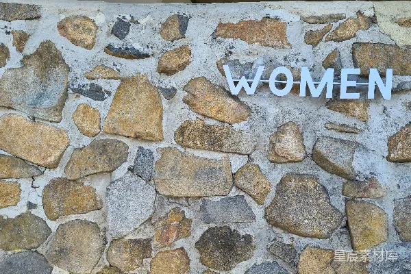 高清摄影 石墙上的女性标识