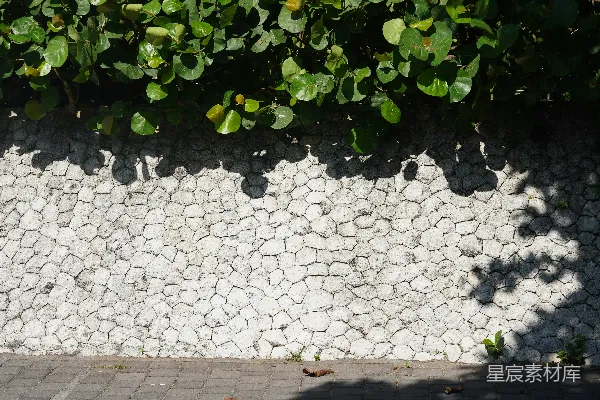 高清摄影 阳光下的石墙与叶子影子